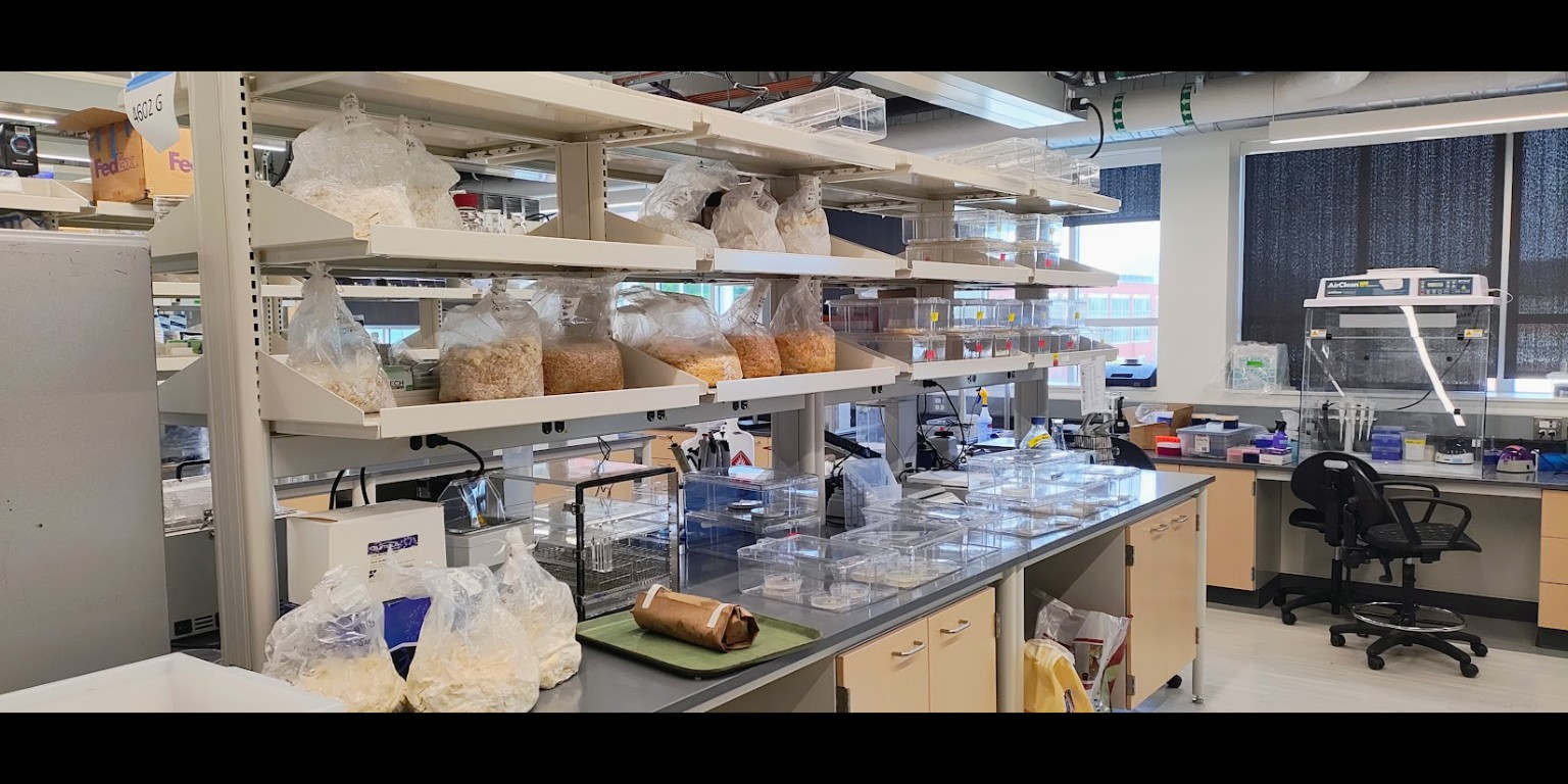 A research laboratory with cultivation materials, bench equipment, and controlled workstations.